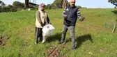 Çam fıstığı üreticilerinin 'tapu' talebi