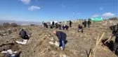 Şehit aileleri ve gaziler soğuğa aldırmadan 350 fidanı toprakla buluşturdu