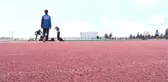 DİYARBAKIR - Ücretsiz spor okullarında yeteneği keşfedildi, Türkiye şampiyonu oldu