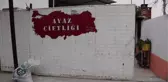 Yem bitkisinde verim, sertifikalı tohumla arttı