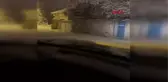 KARAKOÇAN'DA KURT, İLÇE MERKEZİNE İNDİ