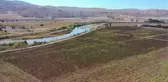Yağlık ayçiçeği ekim alanları artacak