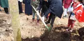 Şahinbey'de ağaç dikim töreni yapıldı