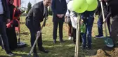 AK Parti İstanbul İl Başkanlığı okul bahçesine 112 çınar fidanı dikti