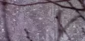 Şenkaya'da kar yağışı etkisini sürdürüyor