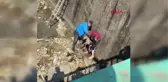 DEREDE MAHSUR KALAN YAVRU KARACA İÇİN SEFERBER OLDULAR