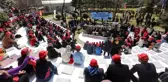 Efelerin dev festivali başladı