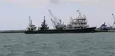 KARADENİZLİ BALIKÇILARIN, 'SERSERİ MAYIN' TEDİRGİNLİĞİ