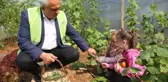 Kreş öğrencileri yetiştirdikleri sebzelerin hasadını yaptı