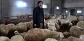 220 koyunu telef oldu... Yem firması hakkında suç duyurusunda bulundu