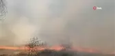 Manisa'da ormanlık alanda yangın