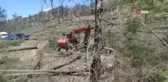 Arkadaşının kestiği ağaç üzerine düşen işçi hayatını kaybetti