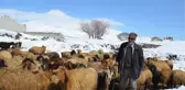 BİTLİS'TE, 4 METREYE ULAŞAN KAR NEDENİYLE BESİCİLER ZOR GÜNLER GEÇİRİYOR