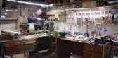 Kayısı ağacından sanata yolculuk