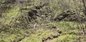Ordu'da heyelan nedeniyle bahçe ve yollar zarar gördü
