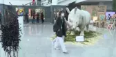 EKO İKLİM Zirvesi - Geri dönüşüm sergisi ve AA fotoğraf sergisi