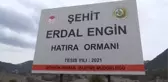 Göynük'te 1500 fidan toprakla buluştu