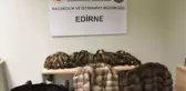 Kapıkule ve Sarp sınır kapılarındaki operasyonlarda kaçak kürk ve post ele geçirildi