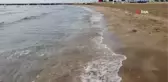 Akdeniz'de deniz anası kabusu sürüyor... Kızkalesi sahiline kadar geldi