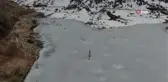 Buz tutan Pusat Özen Baraj gölü ilkbahara rağmen çözülmedi