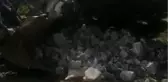 Çatalca'da 
