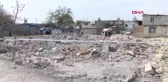 CONO AŞİRETİ ÜYELERİNİN YAŞADIĞI MAHALLEDE YIKIM YENİDEN BAŞLADI