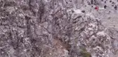 Toros Dağları'ndaki dağ keçisi sürüsü böyle görüntülendi