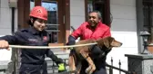Son Dakika | AVCILAR'DA MAHSUR KALAN KÖPEĞİ İTFAİYE KURTARDI