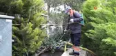 Kuşadası'nda vektörle mücadele devam ediyor