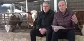 Ahırda basın toplantısı! Muharrem İnce, partisinin tarım politikalarını anlattı