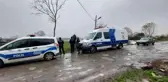 Sivrisinek için ilaçlama yapan ekipler gölde çürümüş ceset buldu
