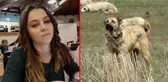Koyun sürüsünü koruyan çoban köpekleri, ormanda önlerine çıkan genç kızı parçaladı