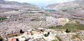 Malatya bu kez kar değil, kayısı beyazına büründü