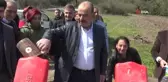 Ayçiçek tohumları toprakla buluşturuldu... Hasat edilen ayçiçeği yağı ihtiyaç sahiplerine dağıtılacak