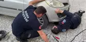 Otomobilin motor kısmında doğuran kedi ve yavrusu sıkıştığı yerden kurtarıldı