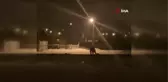 Aç kalan bozayı ilçe merkezine indi