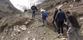Yüksekova'da yetişen zerik ve siyah üzümün aşı kalemleri Tekirdağ'da muhafaza edilecek
