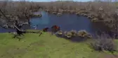Doğa harikası Karacabey Longozu ziyaretçilerini bekliyor