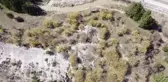 (DRONE) Göynük'te kızılcık ağaçları çiçek açtı