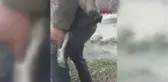 KAHRAMANMARAŞ HASTA YABAN KEÇİSİNİ 3 KİLOMETRE SIRTINDA TAŞIDI