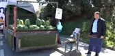Teknoloji hayatın her alanında! Seyyar satıcılardan İBAN'lı karpuz satışı