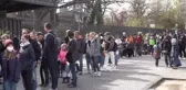 Berlinli goril Fatou 65. yaş günün kutladı