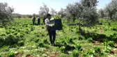 Tarlada 2, markette 15 lira! Üretici aracıların daha fazla kazanmasından dert yanıyor