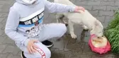 8 KÖPEĞİN SALDIRISINDA YARALANAN ÖMER EFE, SOKAK HAYVANLARI PROJESİNDE GÖREV ALMIŞ