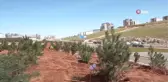 Büyükşehir 250 karaçam dikimi yaptı