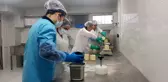 Okulda tereyağı üretmeye başladılar, siparişlere yetişemiyorlar