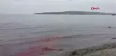 KAMARA DERESİ, KIRMIZI AKIYOR
