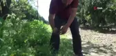 Hollandalı kuş bilimciler Antalya'da gönüllü kuş halkalıyor