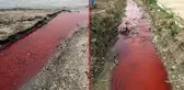 Marmara Denizi'ni kırmızıya bürüyen tesise 500 bin lira ceza kesildi, faaliyetleri durduruldu