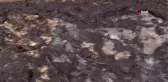 Saros Körfezi'nde balıkçıları tedirgin eden görüntü